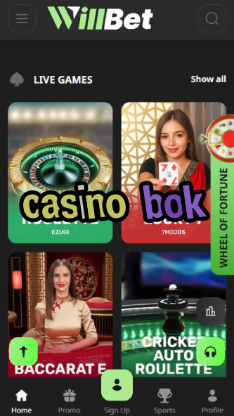 Casino BOK - Best Online Korean Casino Experience-www.bdqngd.com